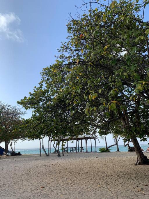 Ti Studio Alize Face A La Plage Le Moule Exterior foto